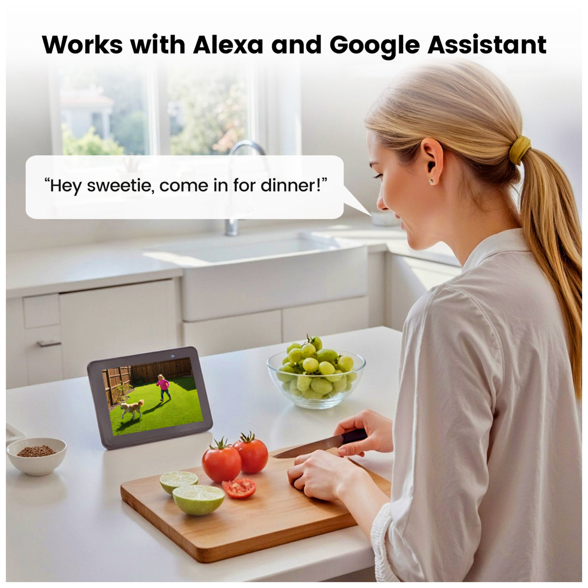 Aosu Outdoor Wall Mount Solar Camera with Light