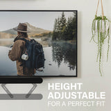 Sanus Sound Bar Mount Designed for Sonos Ray